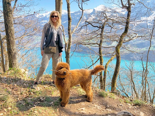 minibag Hirsch khaki, minibag Hirsch, Ledertasche khaki, Clutch khaki, Clutch, Clutch aus Leder kleine Tasche Hundespaziergang minibag Hirsch braun, minibag Hirsch, braune Ledertasche, Geldtasche zum umhängen, minibag, mini bag
handytasche zum umhängen
kleine tasche
handytasche mit geldbörse
handytasche hirschleder
kleine tasche damen
louis vuitton kleine tasche
geldtasche
mini bag
handytasche damen
kleine taschen zum umhängen
kleine hirschleder tasche
handytasche umhängen
Hirsch kleine tasche
umhängetasch